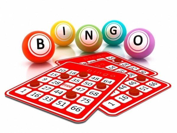 get-compensated-to-experience-bingo-games-mega-online-casinos